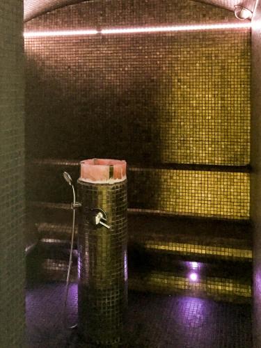 a bathroom with a shower in a tiled wall at Casa Font i Roig in Maria de la Salut