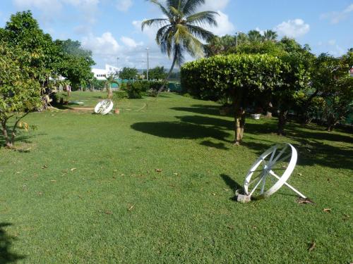 Un jardín fuera de Airport Hotel