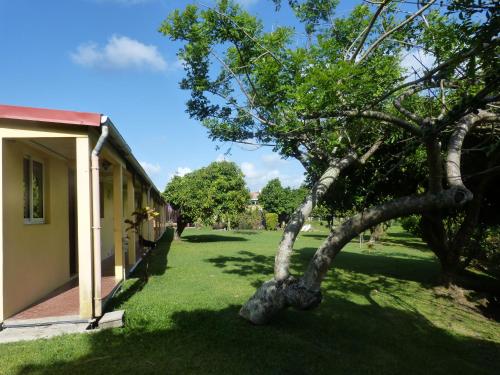 Un jardín fuera de Airport Hotel