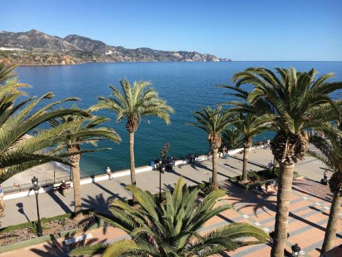 a view of a beach with palm trees and the ocean at Sunny Studio Nerja in Nerja