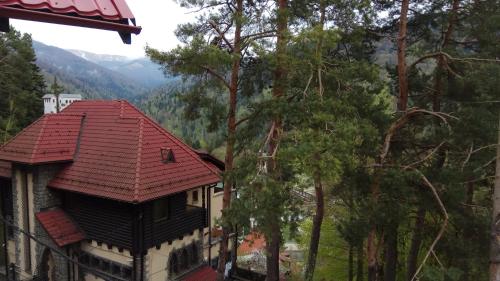 a house with a red roof with a view of trees at Casa Adina in Sinaia