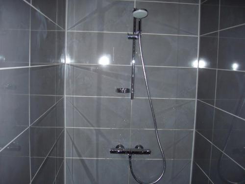 a shower with a shower head in a bathroom at Gites Du Ladhof in Colmar