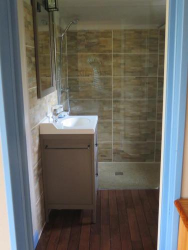 a bathroom with a sink and a shower at Les Petites Aunettes in Vaubadon