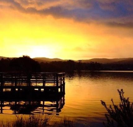 a dock on a lake with the sunset in the background at Snug Cove Villas in Eden