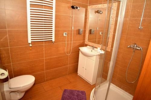 La salle de bains est pourvue de toilettes, d'une douche et d'un lavabo. dans l'établissement Hotel Heaven, à Chabsko