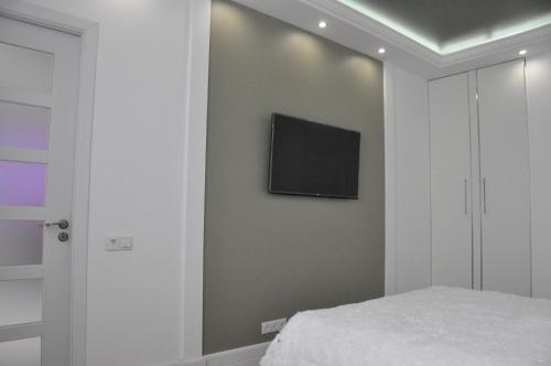 Televisyen dan/atau pusat hiburan di Fireplace Apartment on Puliuia 40