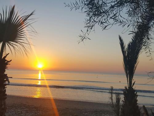 a sunset on the beach with a palm tree at Periyiali Beach Sunset Suite A7 in Pervolia