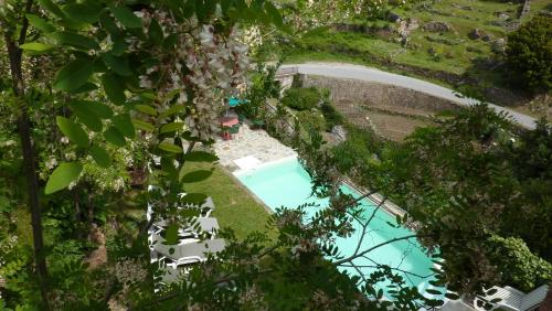 an overhead view of a swimming pool with trees at Acropole Asco in Asco