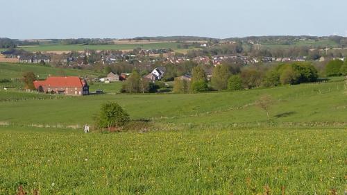 a field of green grass with a house in the background at B&B Vouwere in Mechelen