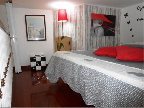 ローマにあるLa casetta di Josephineのベッドルーム1室(大型ベッド1台、赤い枕付)