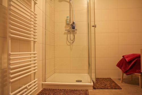 um chuveiro com uma porta de vidro na casa de banho em Alte Posthalterei em Stralsund