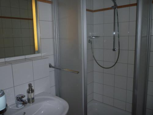 een badkamer met een douche en een wastafel bij Modernes Apartment mit Zentralheizung in Willingen in Willingen