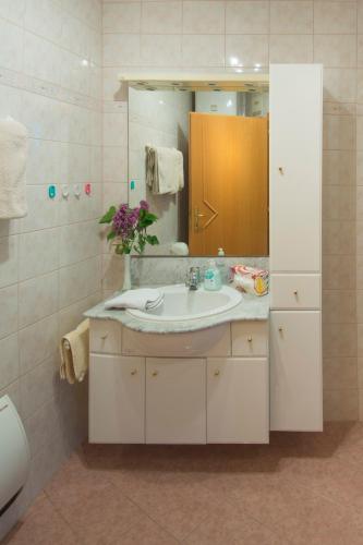 a bathroom with a sink and a mirror at Ferienwohnungen Panorama Harrys Bike Tours in Villach