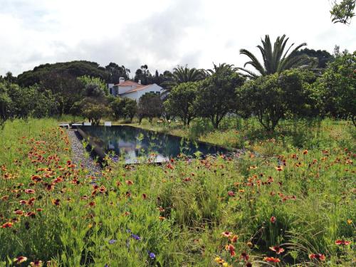 a river in a field of flowers at Quinta Do Miguel in Aldeia do Meco