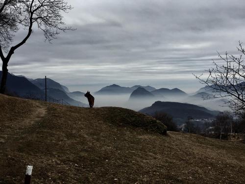 a person standing on a hill with a view of mountains at Ristorante Stazione in Tesserete