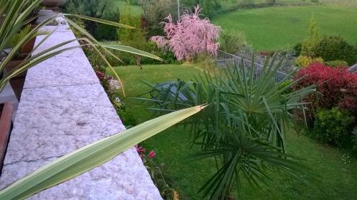 Jardín al aire libre en Bed and Breakfast Posserle