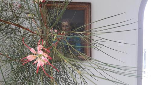 Φωτογραφία από το άλμπουμ του MasouriBlu Boutique Hotel στο Μασούρι