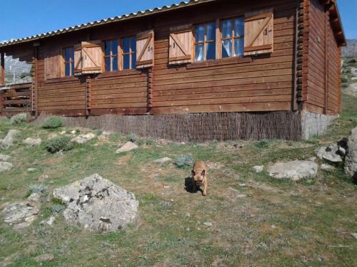 Gambar di galeri bagi Les Chalets De Lozzi di Calacuccia