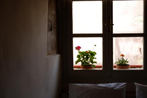 Gambar di galeri bagi Fivos Pension di Chania Town