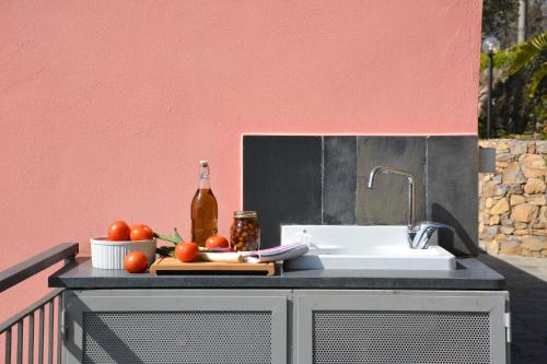 a counter with a sink and some oranges on it at La Torretta in Imperia