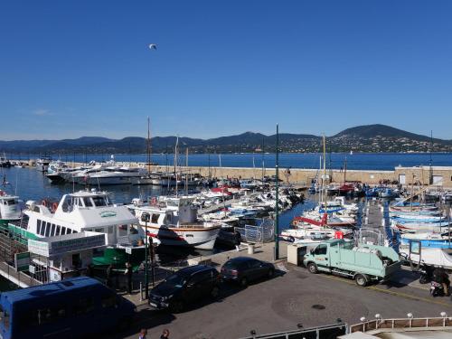 um monte de barcos estacionados numa marina em Port de Saint-Tropez em Saint-Tropez