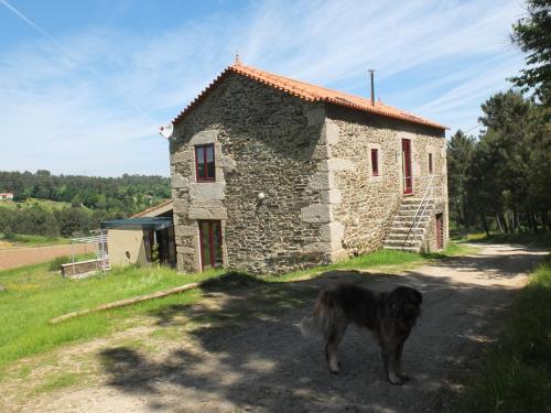 a dog standing in front of a stone building at Quinta da Cerdeira in Seia