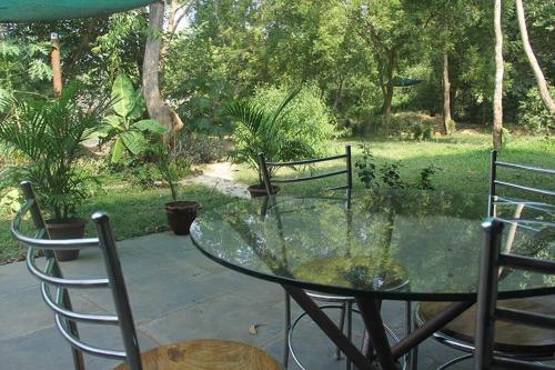 Κήπος έξω από το The Annex, Isai Ambalam guest house