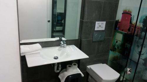 a bathroom with a sink and a toilet at Bed&Breakfast 10 GIRONA in Girona