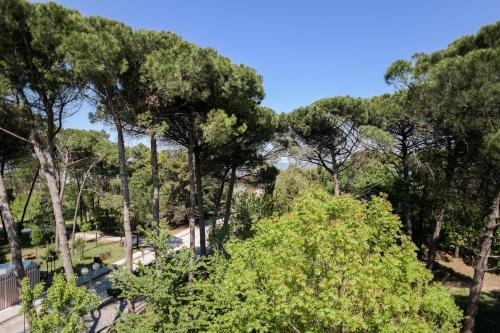 a view of a forest of trees in a park at Hotel Stella Del Mare in Cervia