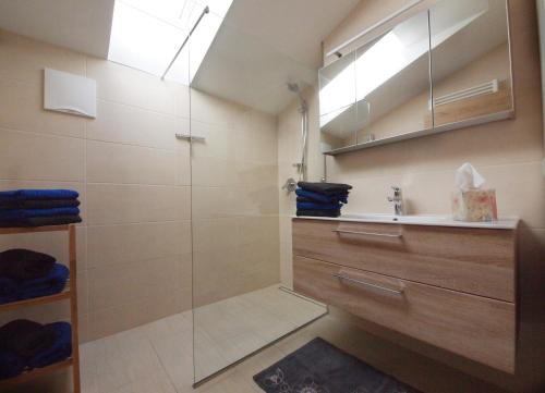 a bathroom with a shower and a sink at Unterhofgut in Goldegg