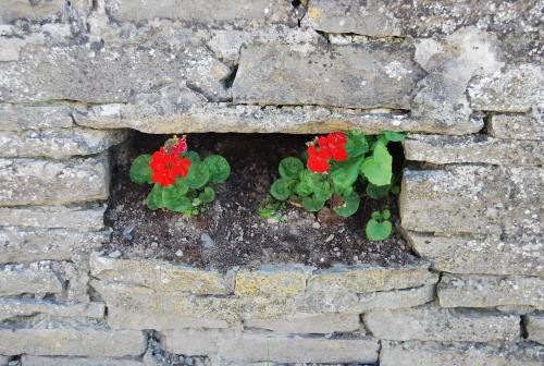 Gallery image of Clonmore Lodge B&B in Quilty