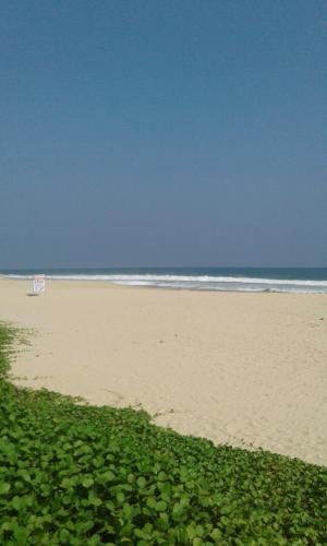 Naturlandskabet i nærheden af pensionatet