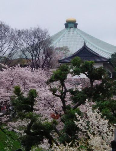 a building with a flowering tree in front of it at Sotetsu Fresa Inn Ochanomizu Jimbocho in Tokyo
