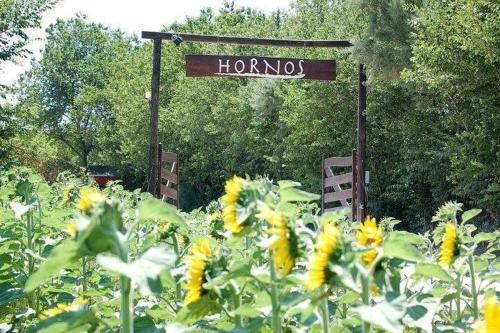 Κήπος έξω από το Agriturismo Hornos