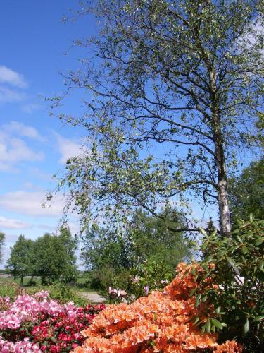 a bunch of flowers in a garden with a tree at Mikkelborg Kro in Rødding