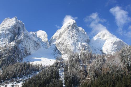 a mountain range with snow covered mountains and a lake at Mühlradl Apartments Gosau in Gosau