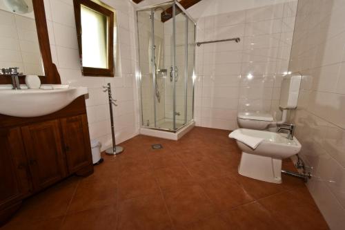 a bathroom with a sink and a toilet and a shower at Rooms Agroturizam Romano in Buje