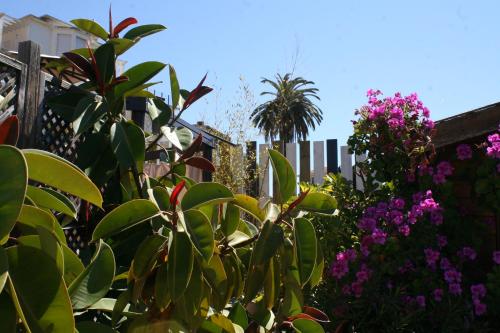 a garden with purple flowers and a fence at Hôtel La Villa Patricia - Charme et Tradition in Villefranche-sur-Mer
