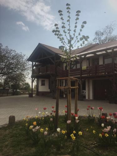 einen Garten mit Blumen vor einem Gebäude in der Unterkunft Biohof Zahn in Hockenheim