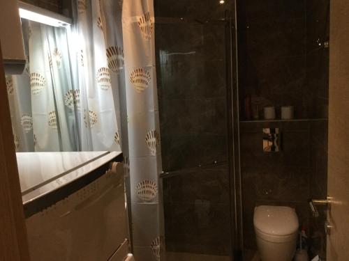 uma casa de banho com um WC e uma cabina de duche em vidro. em Apartment Sunset em Rafailovici