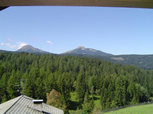 a view of a mountain with trees and a house at Gasthof Specker in Obereggen