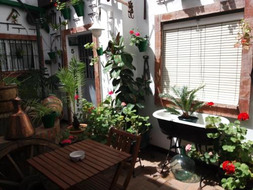 Zahrada ubytování Casa Museo Jerez Centro