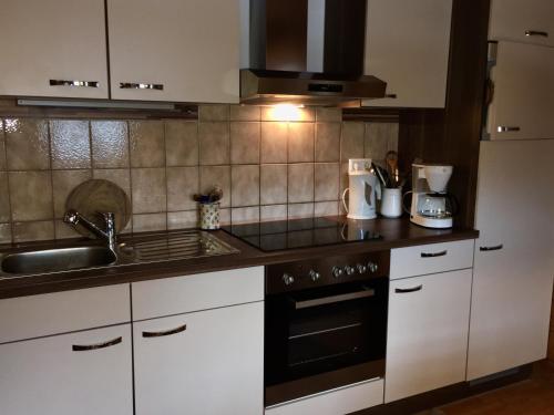 a kitchen with a sink and a stove top oven at Appartement Gnaiger in Forstau