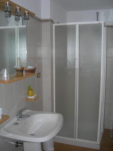 a bathroom with a shower and a sink at Agriturismo Lo Ratelé in Allein