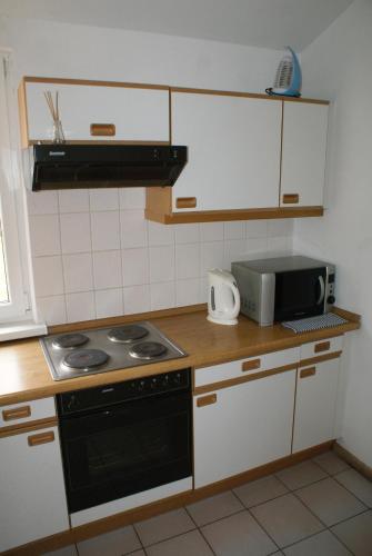 a kitchen with a stove top oven next to a microwave at Pałac Wojciechy in Wojciechy