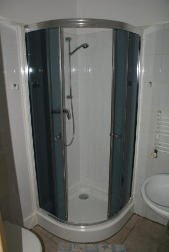 a shower with a glass door in a bathroom at Pałac Wojciechy in Wojciechy
