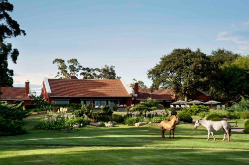 Estancia La Estrella