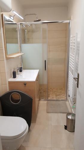 メゾン・ラフィットにあるMagnifique studio coeur Maison-Laffitteのバスルーム(シャワー、トイレ、シンク付)