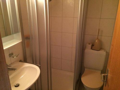 a small bathroom with a toilet and a sink at Gruppenhaus im Walliser Alpstyle in Rosswald