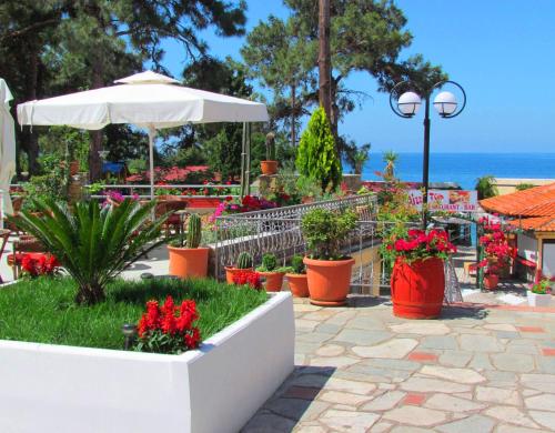 Φωτογραφία από το άλμπουμ του Thassos Hotel στο Πευκάρι